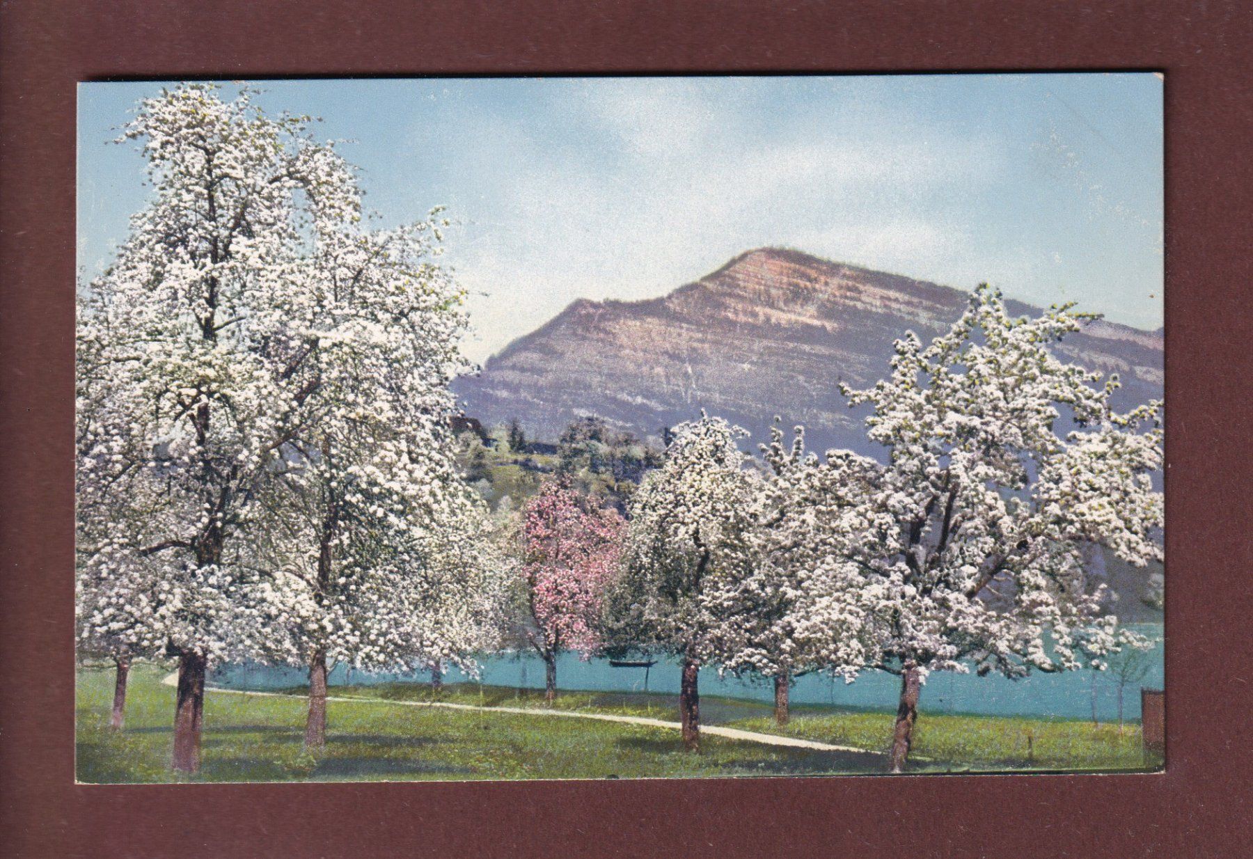Cartoline postali: LANDSCHAFT - Frühling - Bei Hertenstein – Usato da Pully venduto da nicecards