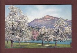 LANDSCHAFT - Frühling - Bei Hertenstein