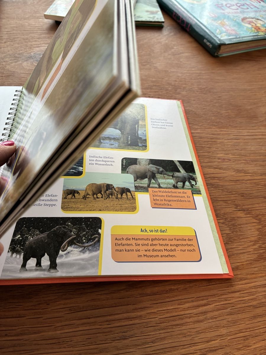 Libri: Kinderbuch Der kleine Elefant wird gross Ellermann – Usato da Wettingen venduto da ric_xm6x 6