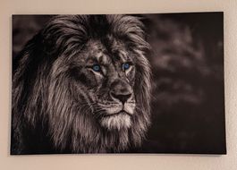 Löwe/Tiger Leinwand günstig abzugeben!