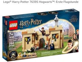 Harry Potter LEGO 76395 Erste Flugstunde