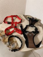 Hundegeschirre und Halsband