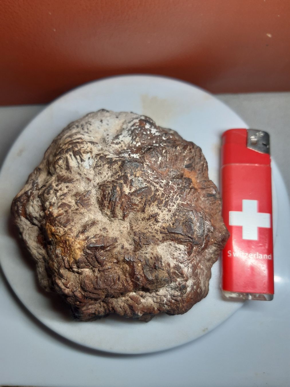 Minerali & Pietre curative: MARCASSITE en nodule 1087gr. – Usato da Genève venduto da dieudedieu 6