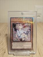 Yu-Gi-Oh! Aschenblüte & Freudiger Frühling QCSR RA04-DE025 D