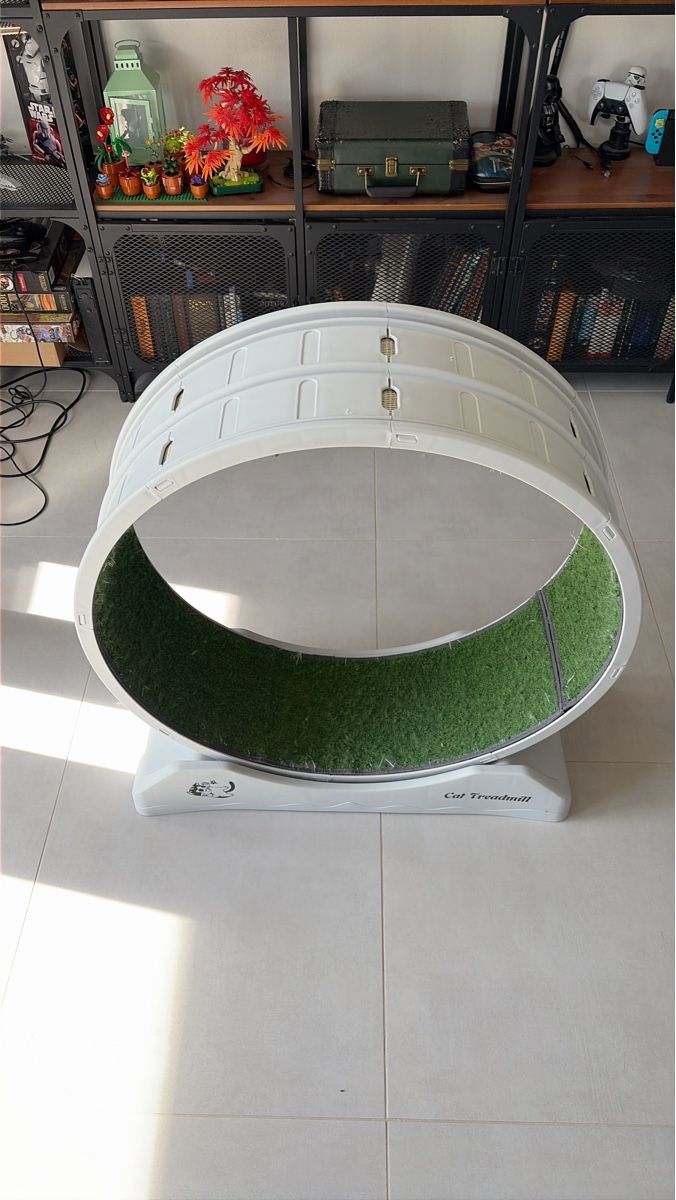 Spielzeuge: Roue d'exercice pour chat Cat Treadmill état correct – Gebraucht aus Autavaux von Helrick89