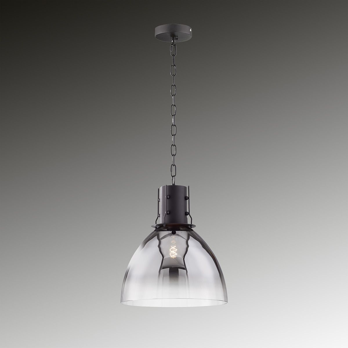 Lampadari & plafoniere: Pendelleuchte, Schwarz, 30 cm Ø – Nuovo (secondo la descrizione) da Kreuzlingen venduto da Smart-Light