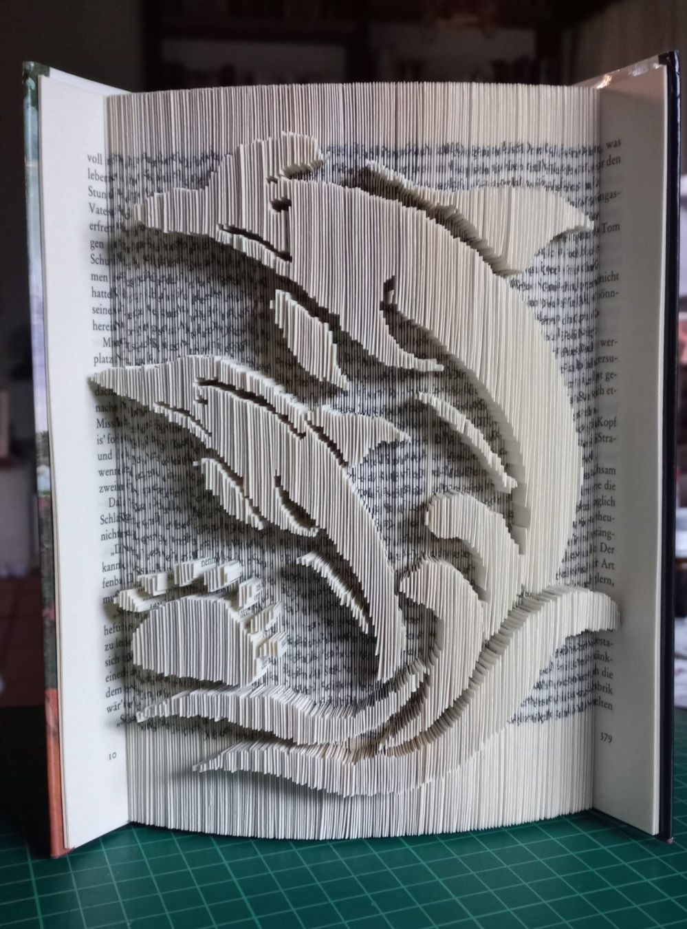 Libri: Buchkunst Hund, Katze, Pferd, Delfin, Geschenk – Nuovo e nell'imballaggio originale da Hausen AG venduto da Lothar64 3