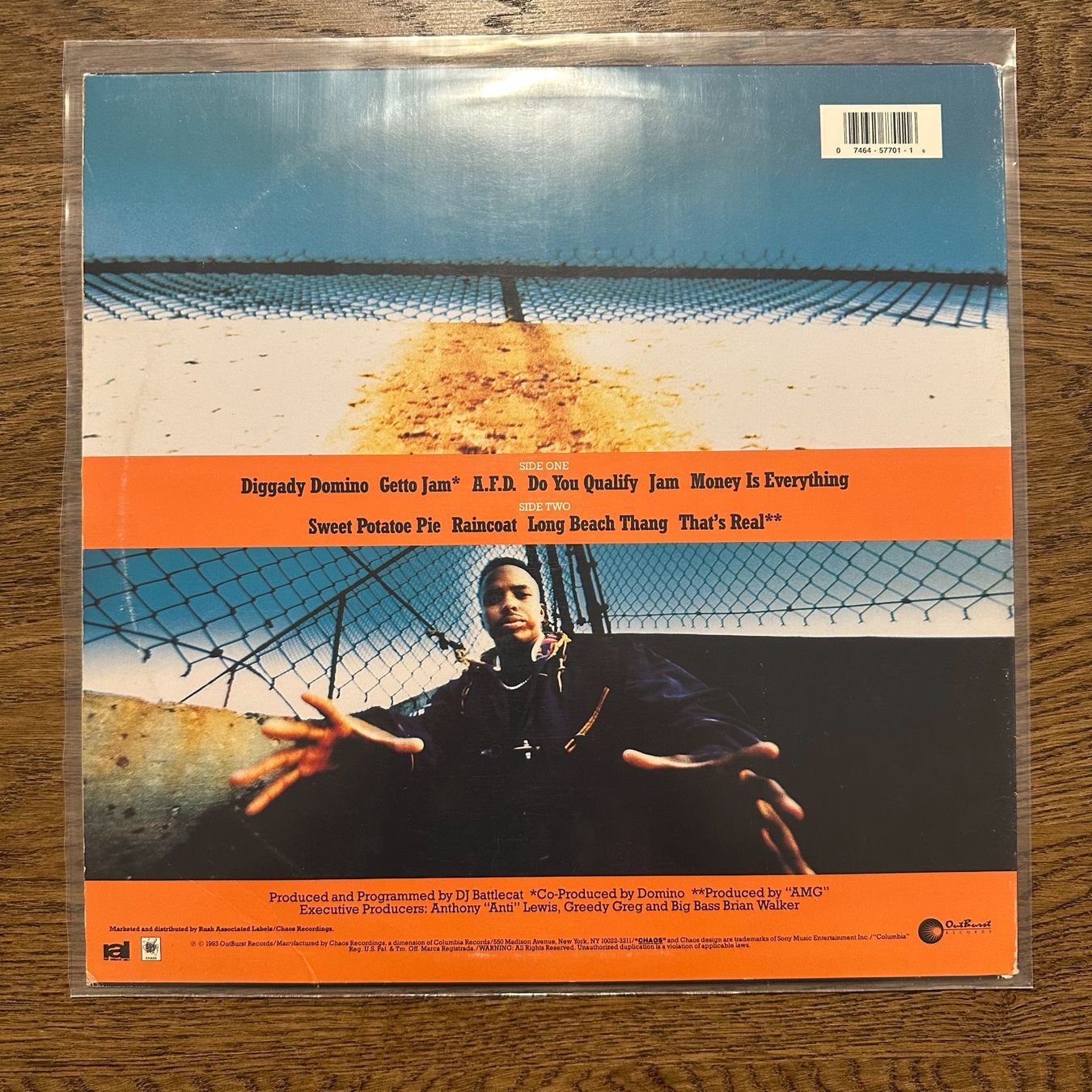 Dischi in vinile: Domino - Domino LP – Usato da Viganello venduto da md__2rd2 1