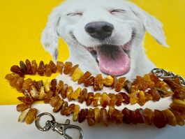 Hunde-Bernsteinkette / Amber/ Ambre roh Splitter