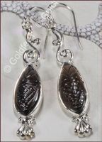 SMOKY QUARTZ, Rauch Quarz Ohrhänger 925 Silber