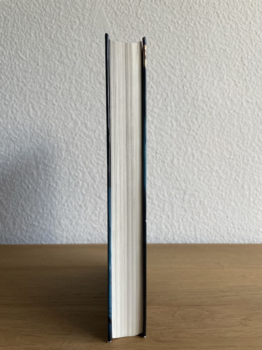 Libri: Traum Springer, Alex Rühle – Usato da Zug venduto da job_pbw9 3