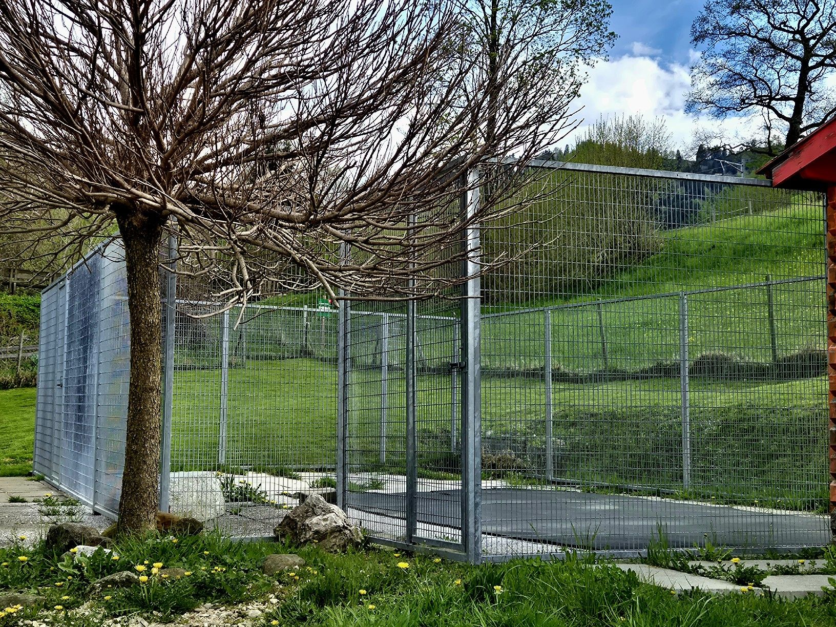 Käfige, Transport & Sicherheit: Gitter Elemente plus Pferdematte – Gebraucht aus Wald ZH von beauci05 3