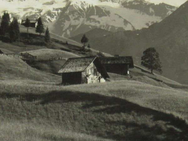 Cartoline postali: Adelboden , Steghorn , Wildstrubel , Fizer – Nuovo (secondo la descrizione) da Grenchen venduto da Bluemchen1900