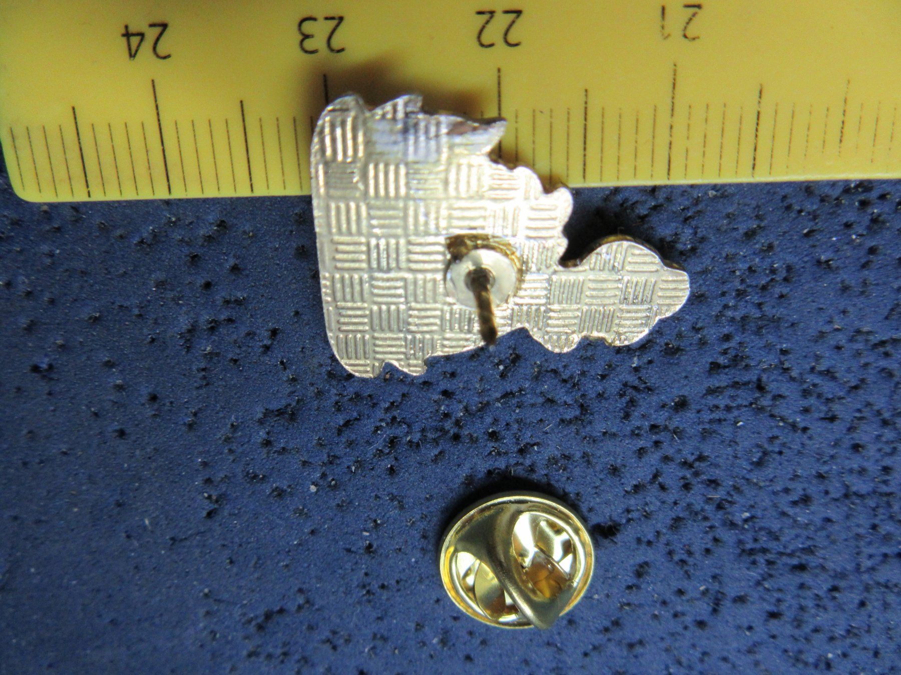 Plaketten & Abzeichen: NESSIE PIN – Gebraucht aus Ettingen von Hausi4711 1