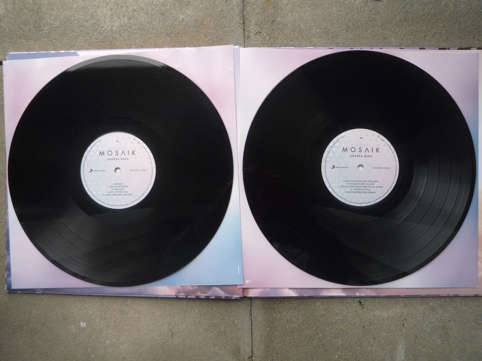 Dischi in vinile: Schallplatten-Buch mit 2 LP'S von Andrea Berg – Usato da St. Gallen venduto da Gartenfreund 4
