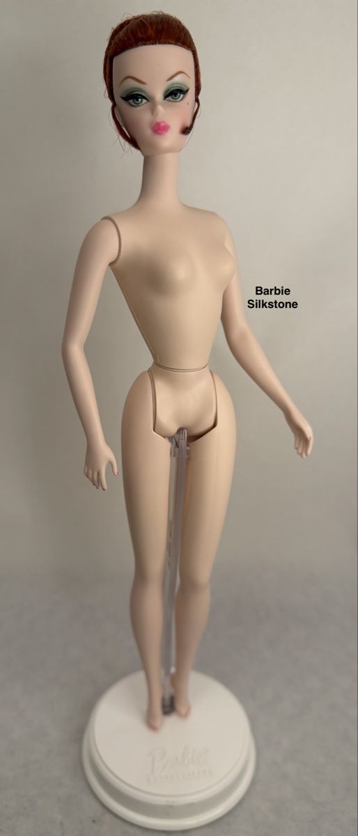 Puppen: Barbie Silkstone – Neu (gemäss Beschreibung) aus BÜLACH von arun8184 2