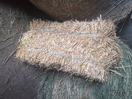 Stroh Kleinballen