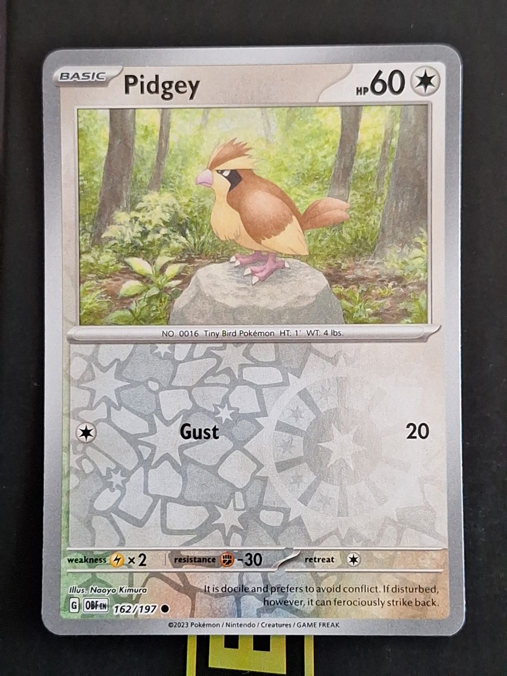 Pokémon Sammelbilder & Trading cards: Pidgey - Pokemon Reverse Holo Obsidian Flames – Gebraucht aus Altstätten SG von GGsGameshop