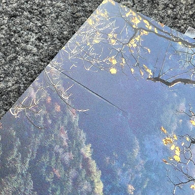 Foto & Immagini: Bild Kuh 80x40 – Usato da Reichenbach i. K. venduto da likki07 1