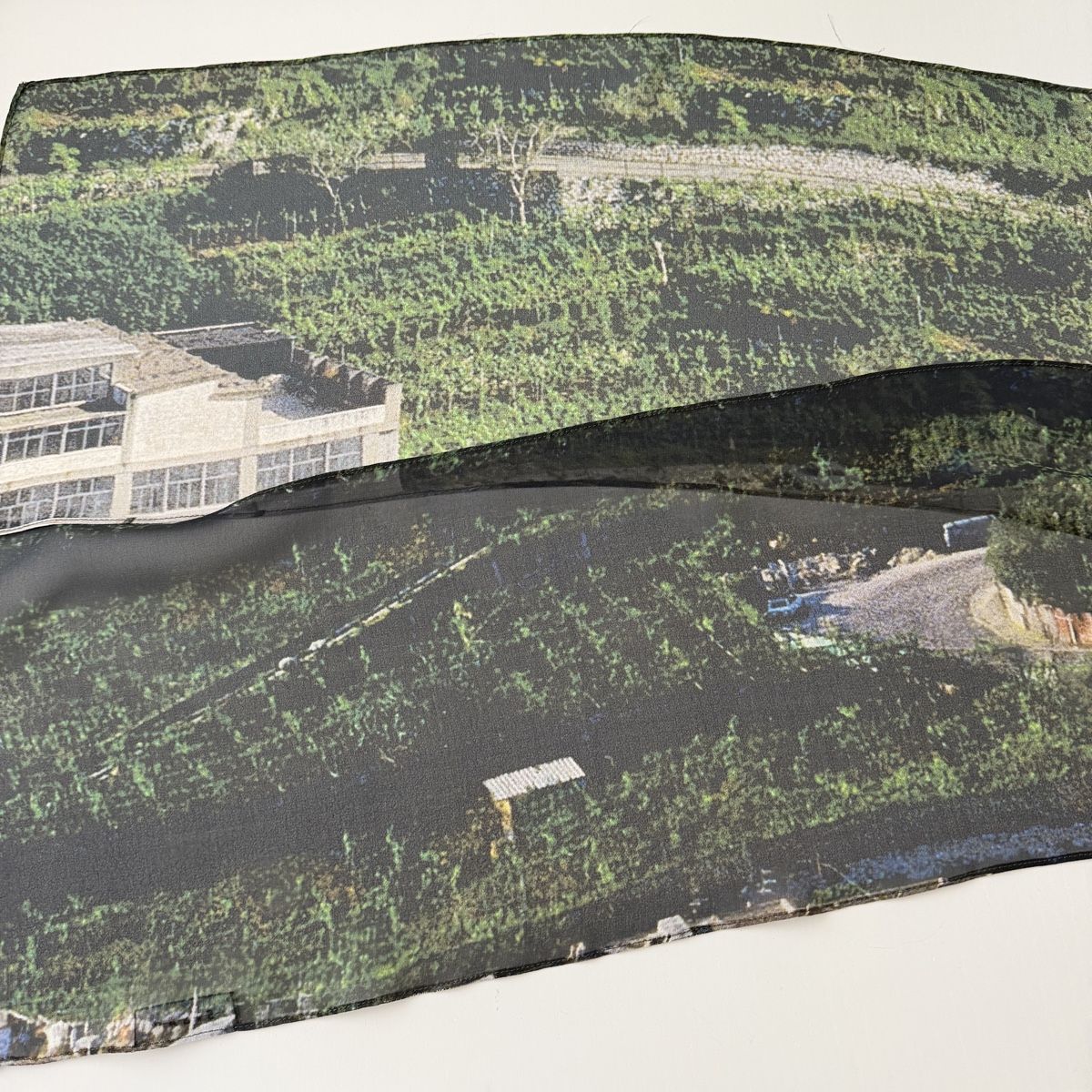 Akris Foulard & Sciarpe: AKRIS New Collector's Scarf – Nuovo (secondo la descrizione) da Emmen venduto da Avviivva_Com2023 1