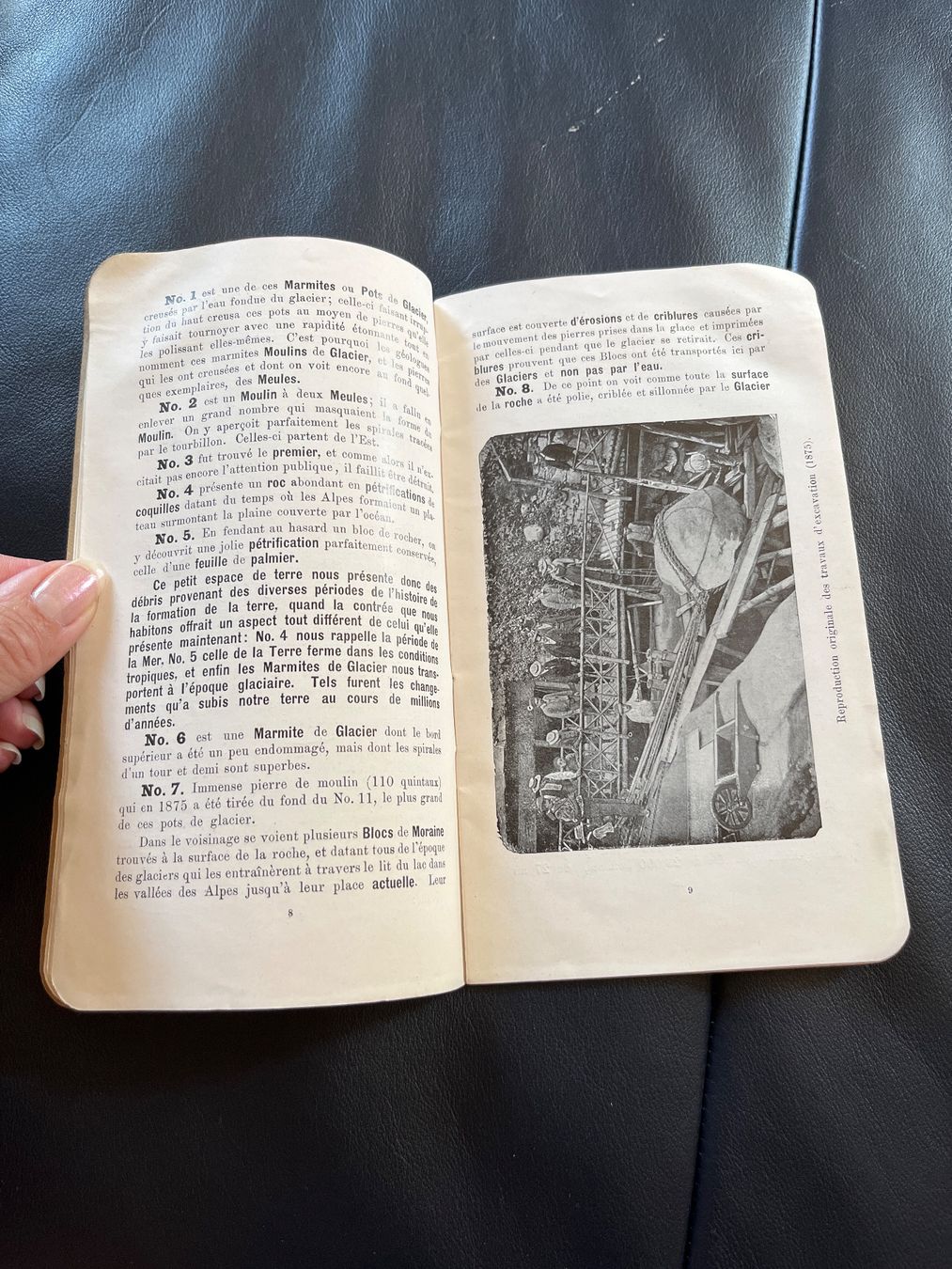 Libri: Jardin des glaciers – Usato da Chaumont venduto da Abigail1 1