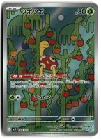 Shuckle #64 Pokemon Japanese Mega Symphonia M1S