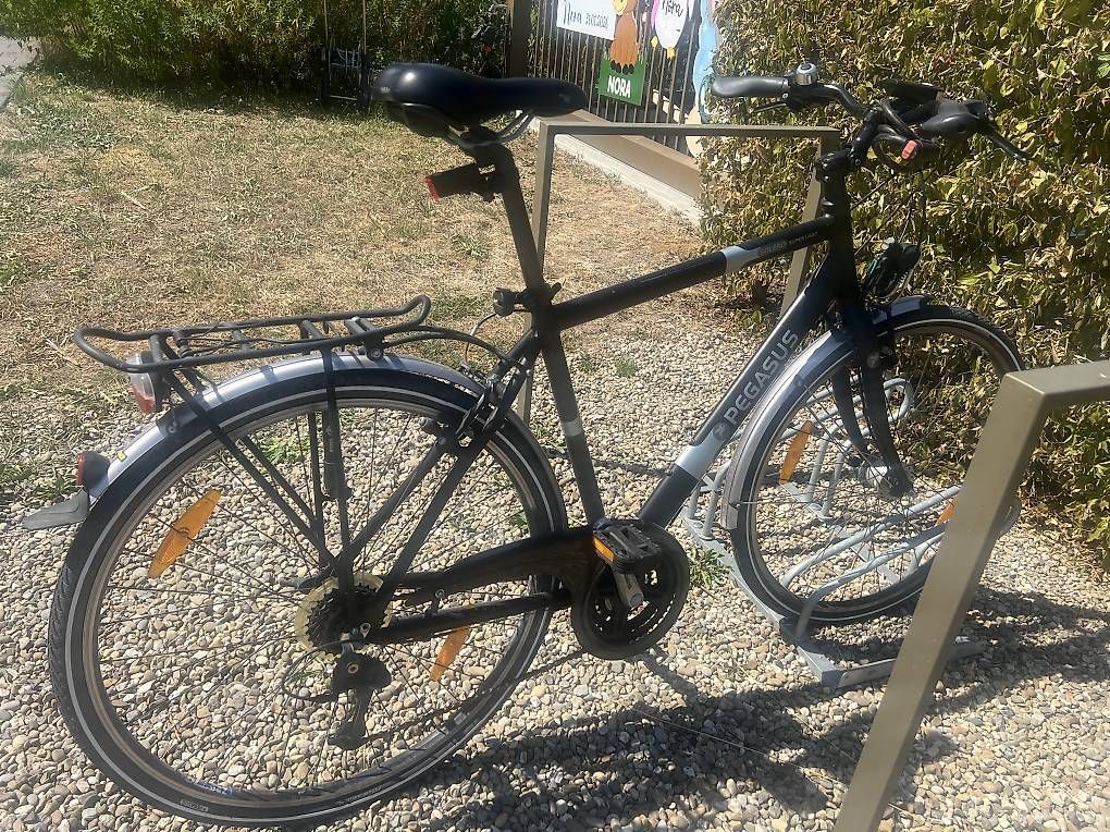 Velos: Pegasus Velo zu verkaufen – Gebraucht aus Alberswil von mic_d2mc 1