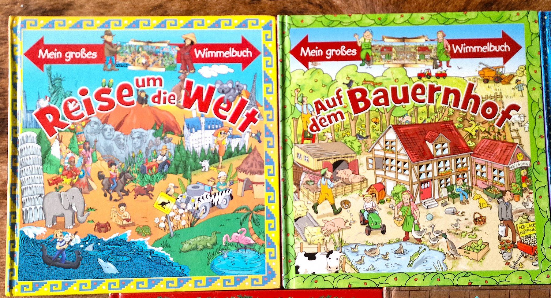 Libri: Kinder Wimmelbuch Set 5 Stück – Usato da Hombrechtikon venduto da MalgorzataJ 1