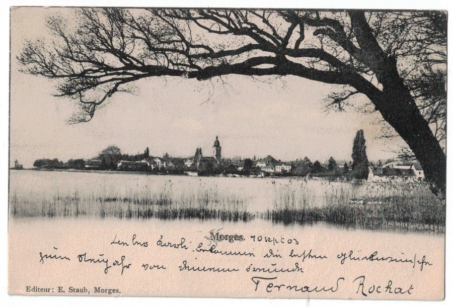 Ansichtskarten: Morges, circulée 1903 – Gebraucht aus Frauenfeld von POML