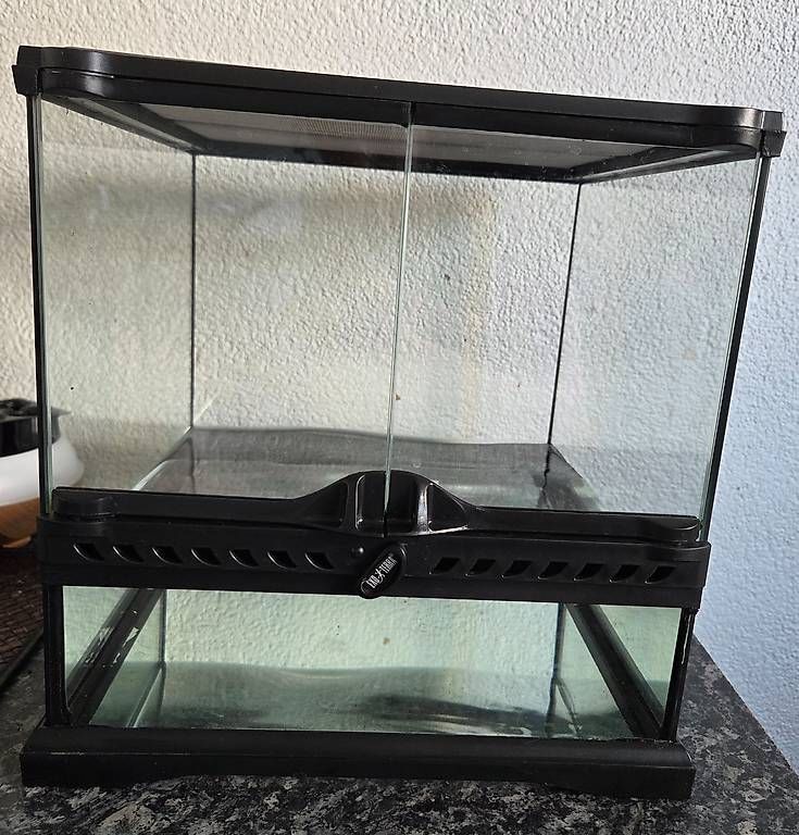 Terrario: Mini Terrarium/Aquarium – Usato da Zürich venduto da Ste87R 2