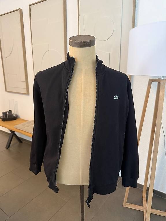 Pullover & Sweatshirts: Lacoste – Gebraucht aus Wallisellen von noelzul 1