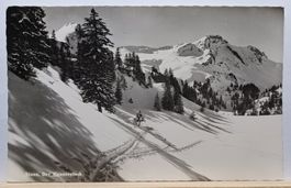 SZ, No. 8956, Stoos, Der Hauserstock, 1964
