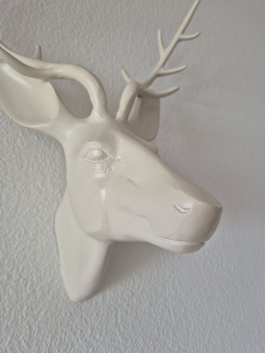 Tutte le decorazioni: Deer Head Wall Mount Decor - metal – Usato da Zürich venduto da mrs_kz6n 3