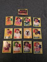 Panini WM 2026 Lot