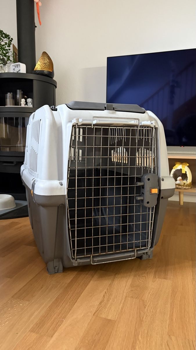 Käfige, Transport & Sicherheit: Hunde Transportbox Skudo Grösse M – Gebraucht aus Dielsdorf von nanita.