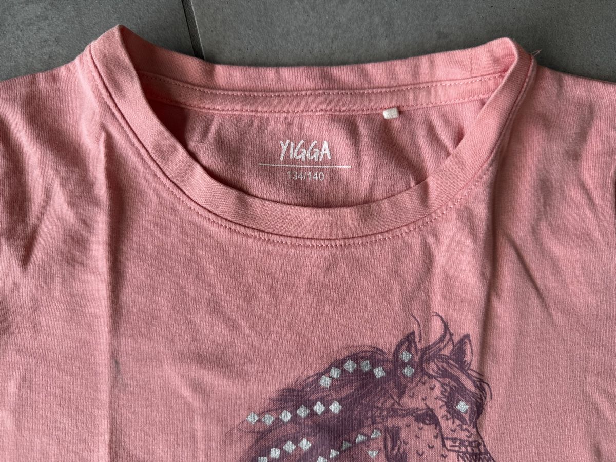 Camicette, T-shirt & Top: T-Shirt Grösse 140 – Usato da Mägenwil venduto da Bienchen8 1