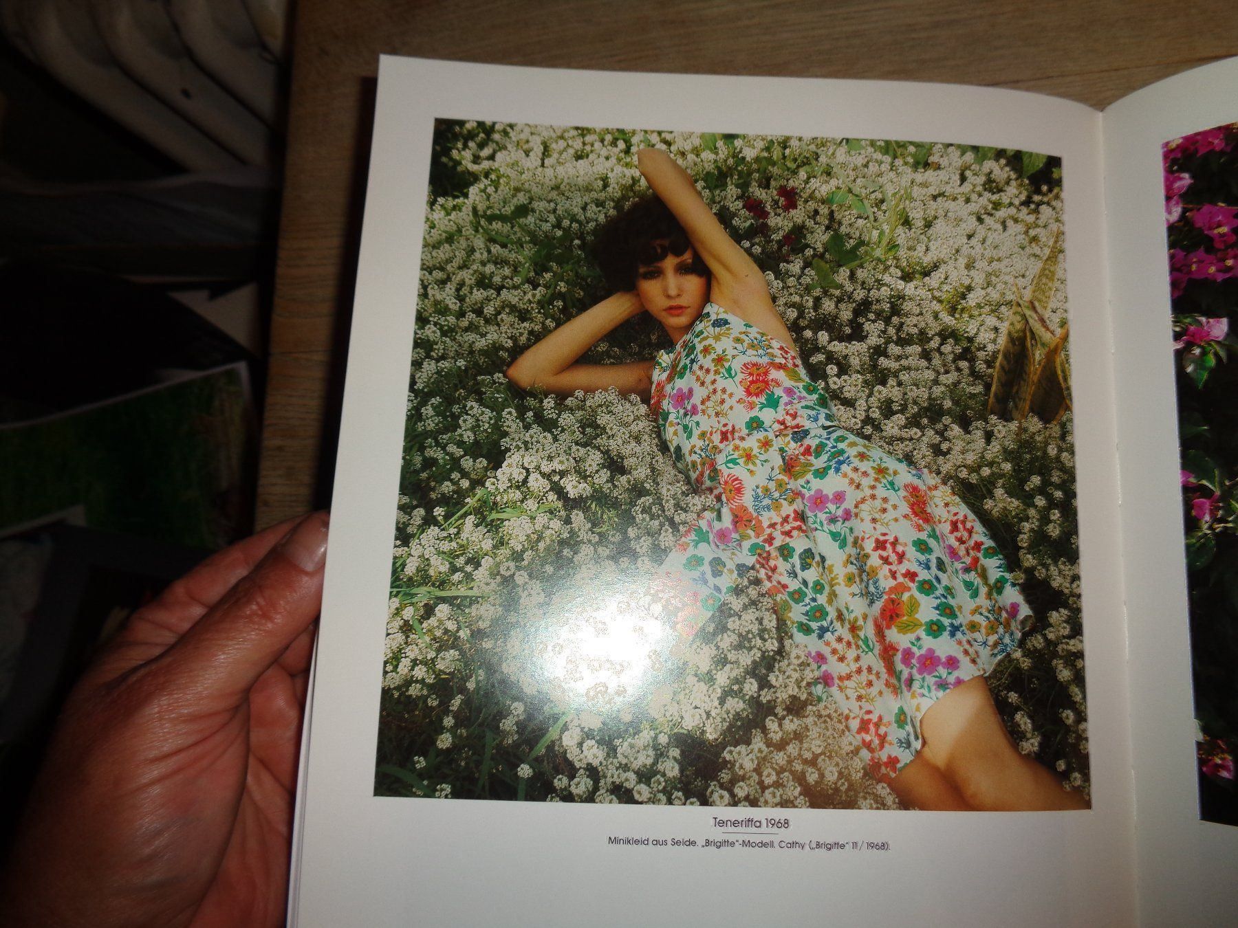 Libri: F. C. Gundlach Fotoklassiker – Usato da Welschenrohr venduto da Regool 3