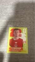 CAN 14 , FIFA WORLD CUP 2026 PANINI 