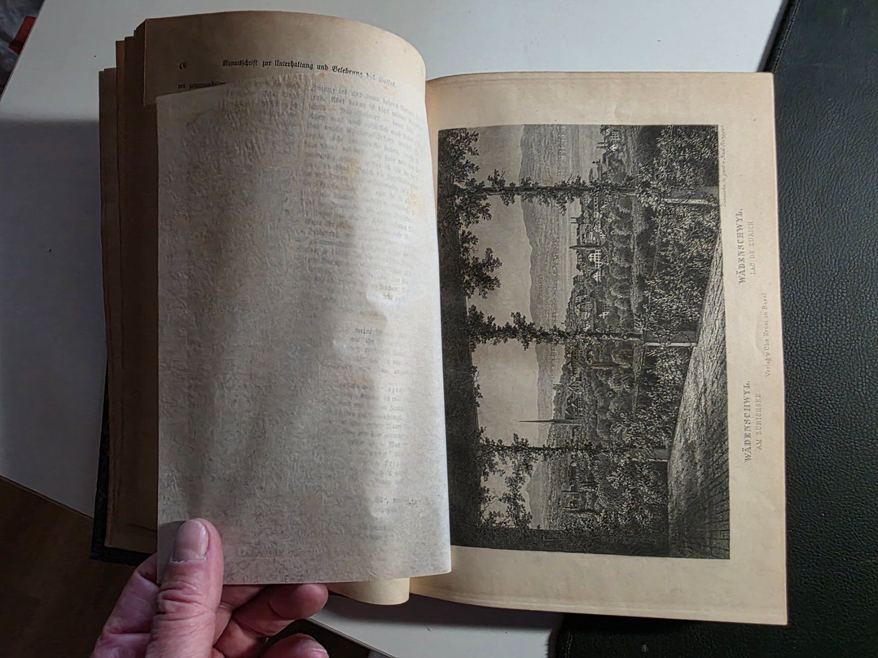 Libri: Robert Weber HELVETIA - 1892 – Usato da Walterswil BE venduto da Lonitti 5