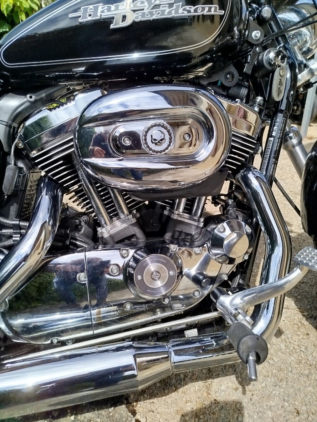 Harley-Davidson Chopper: Harkey-Davidson XL 1200C – Usato da Broc venduto da Ruff1 2