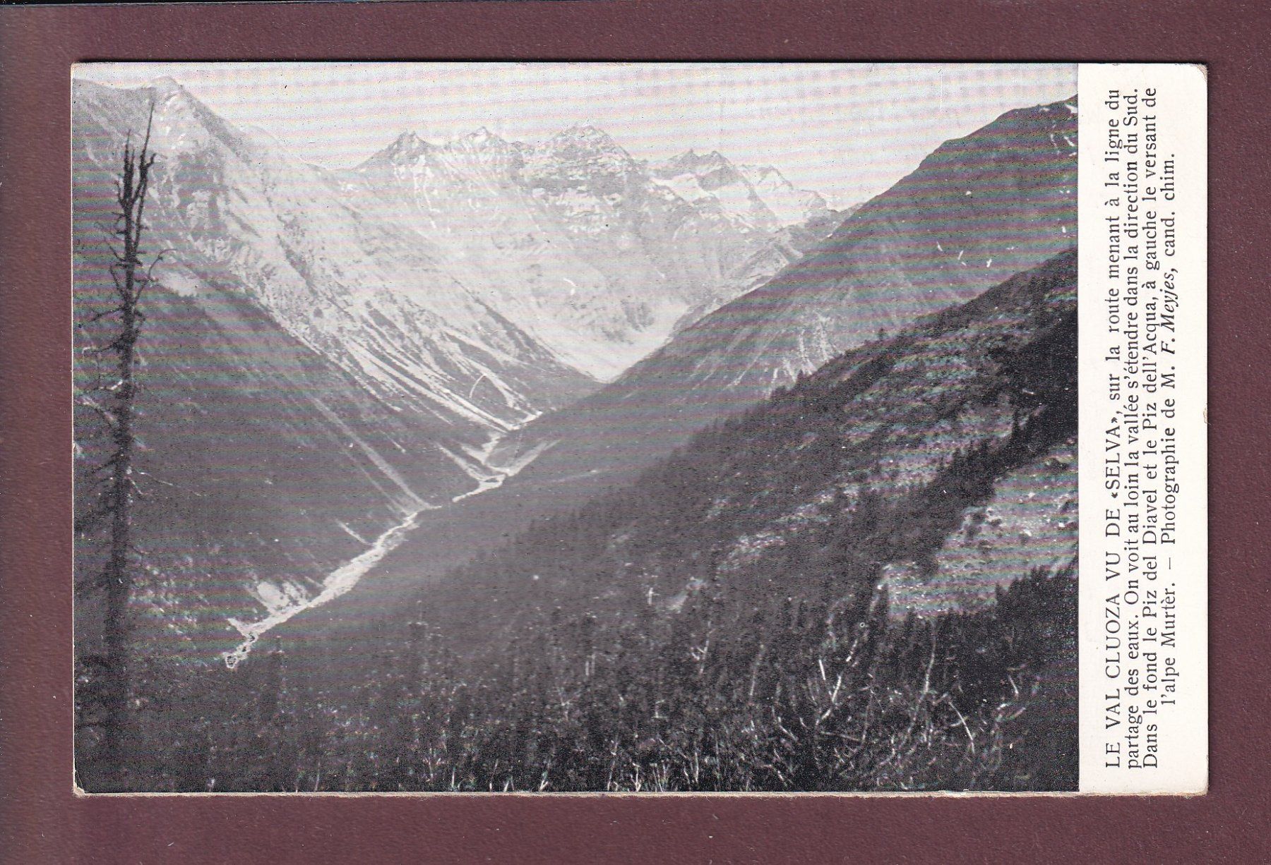 Cartoline postali: Parc national - GRISONS - Val Cluoza – Usato da Pully venduto da nicecards