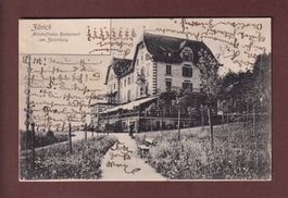 ZÜRICH - Alkoholfreies Restaurant am Zürichberg - 1904