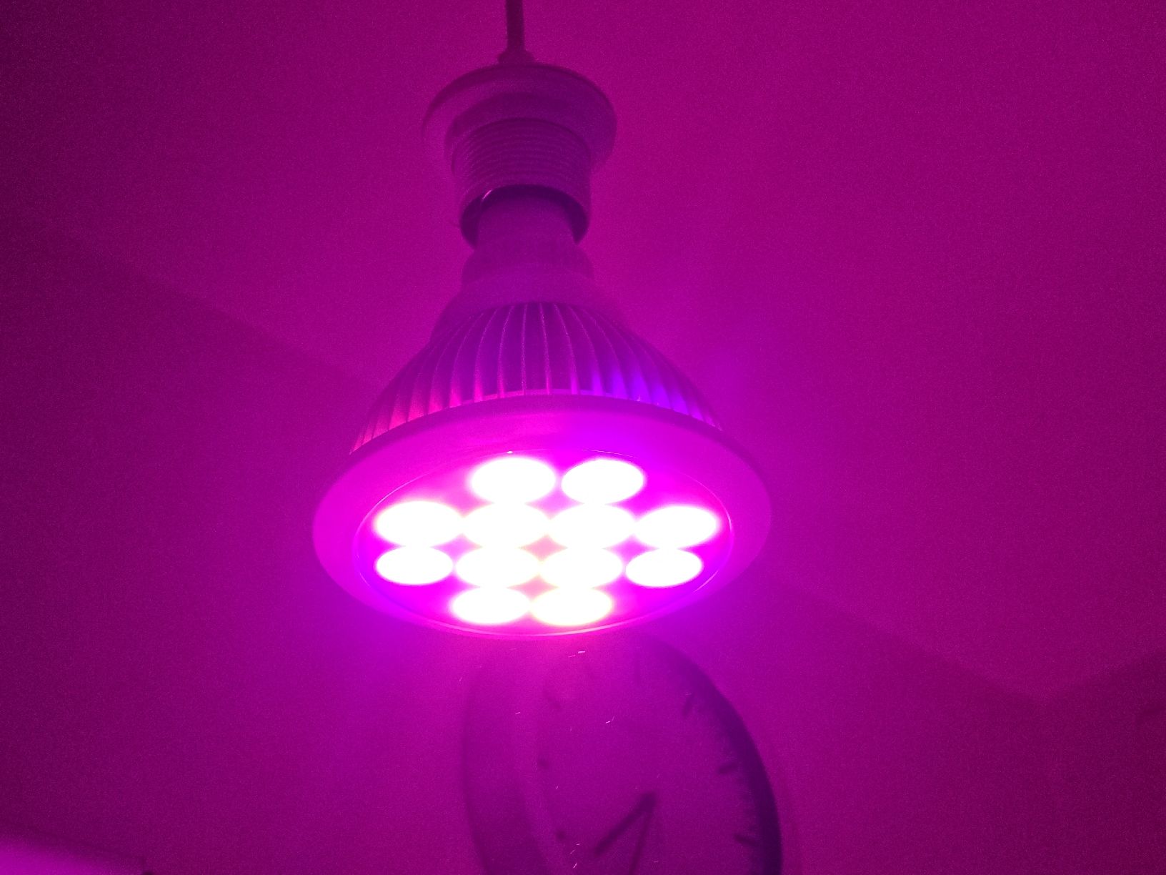 Lampen: LED Pflanzenlampe TaoTronics TT-GL20 E27 12W  – Neu (gemäss Beschreibung) aus Zürich von Finale7 8