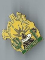 Johnny Hallyday - Pin
