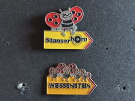 Pins Blick Käfer Zeitung Stanser Horn und Weissenstein
