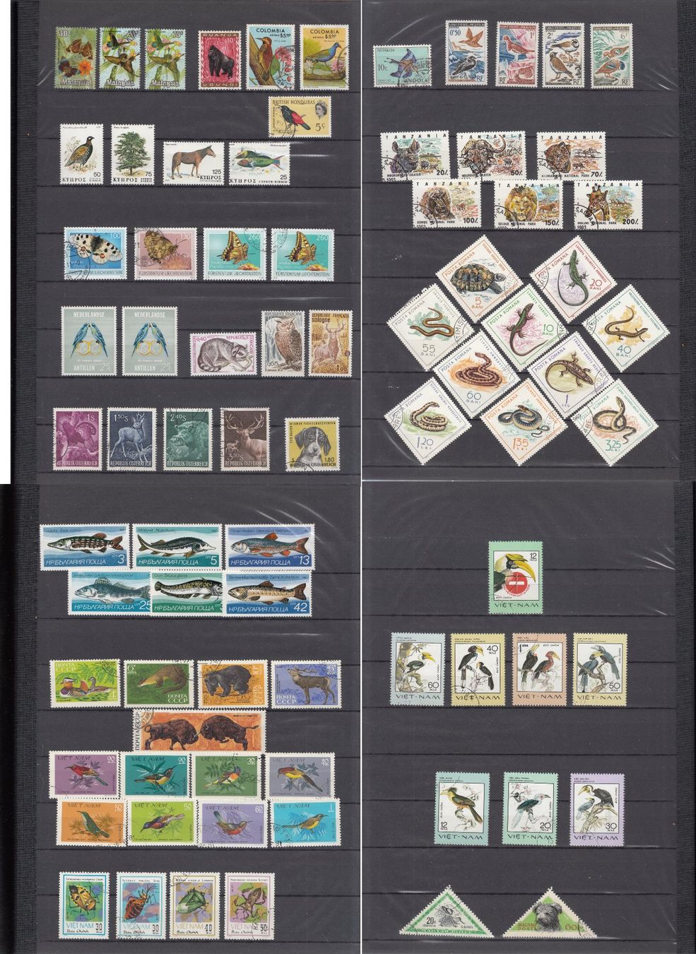 Alle Briefmarken: Motivsammlung Tiere – Gebraucht aus Bürglen TG von StampGraf 7