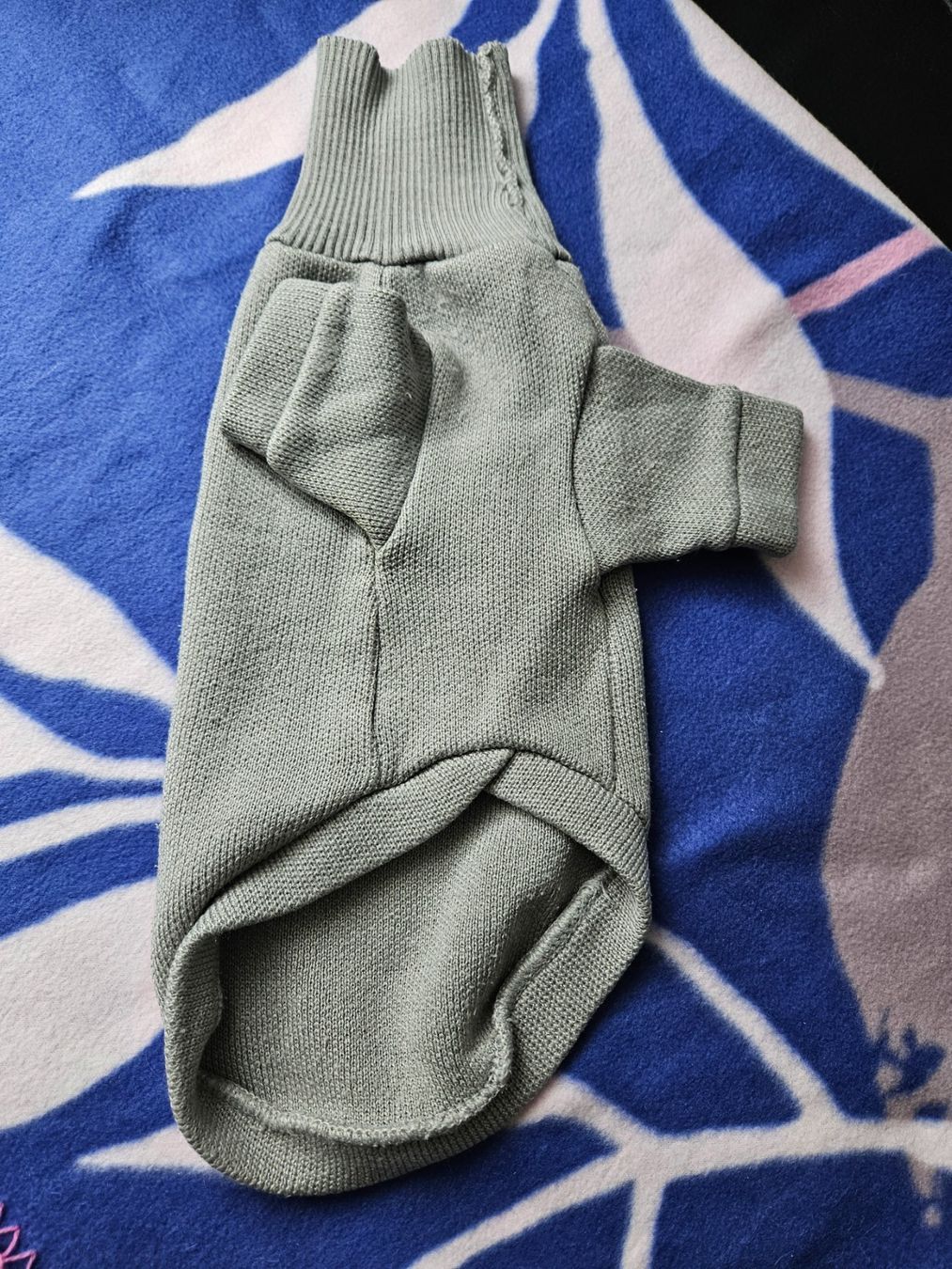 Abbigliamento: Hunde Mantel – Usato da Oberwangen TG venduto da jan_y6sm 9