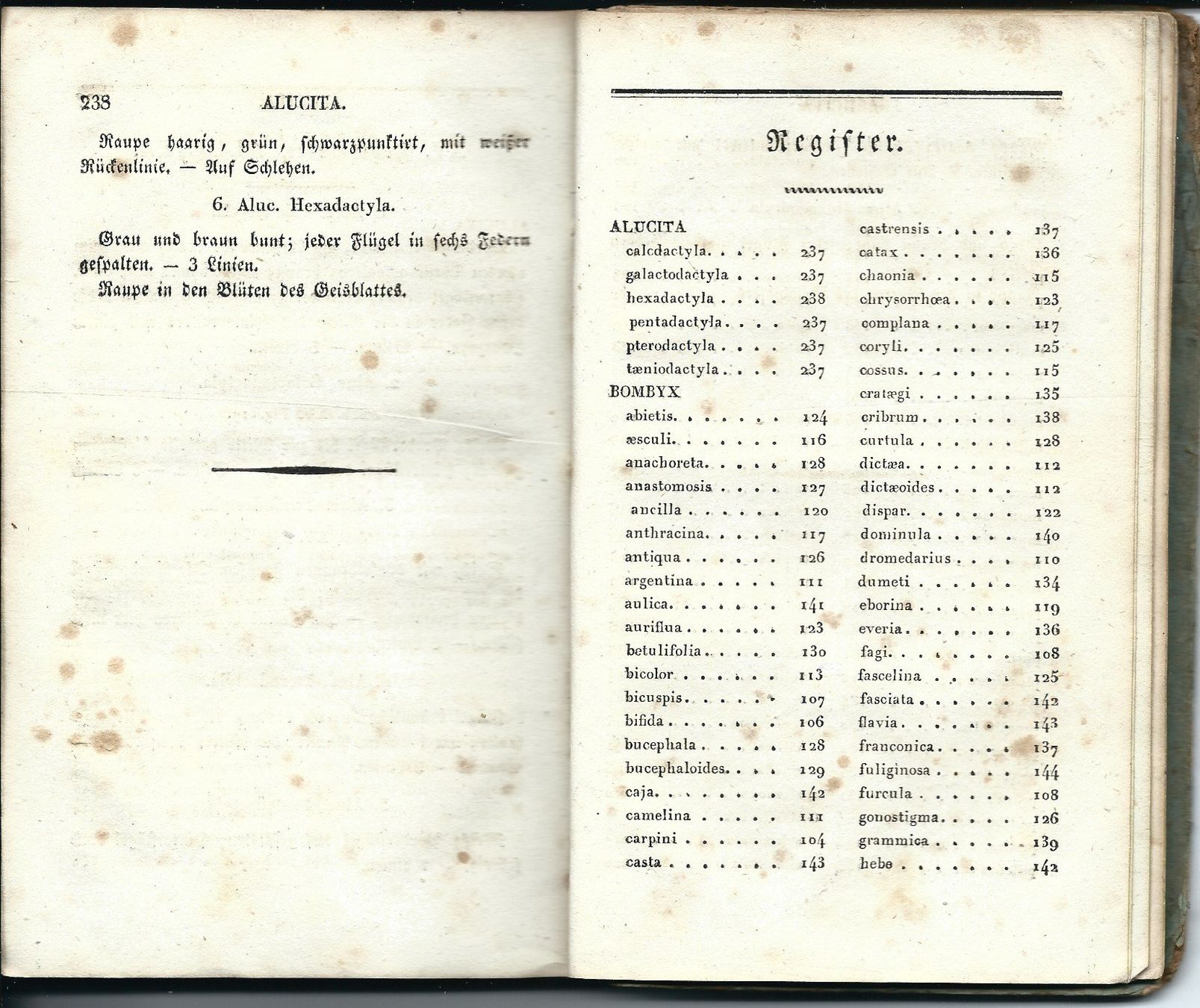 Libri: Schmetterling Buch von 1827 – Usato da Chambesy venduto da Mfluc714 1