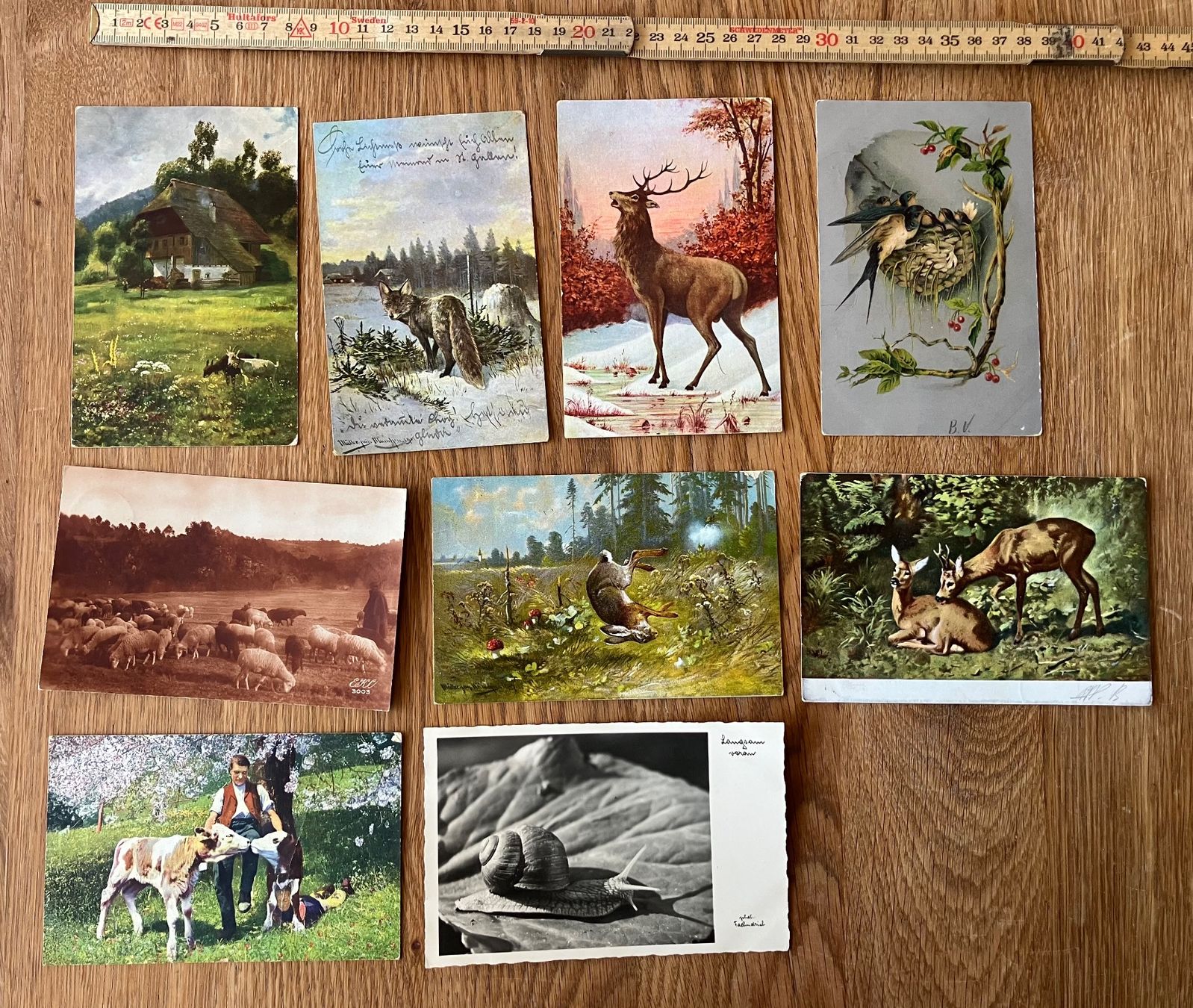 Cartes postales: Ansichtskarten Tiere Grüsse – D'occasion à Waldstatt par breitaxt