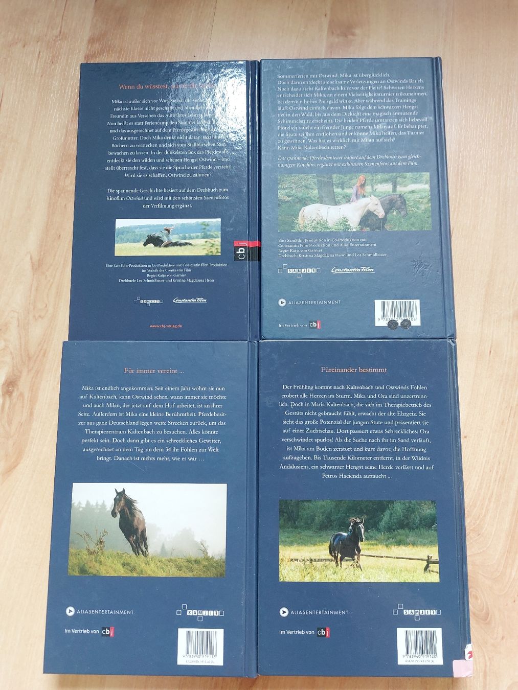Livres: Ostwind Bücher – Neuf (Voir description) à Brunnen par livasophiaa 2